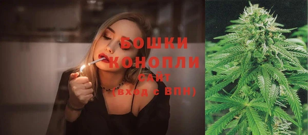 стафф Вязьма