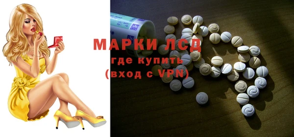 прущие грибы Вязники