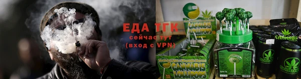 прущие грибы Вязники