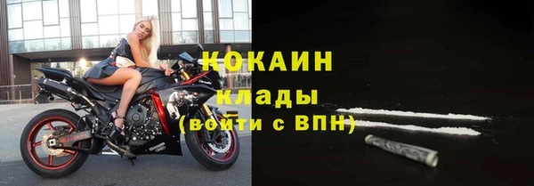 спиды Вяземский