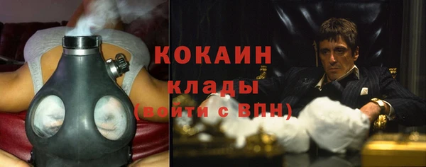прущие грибы Вязники