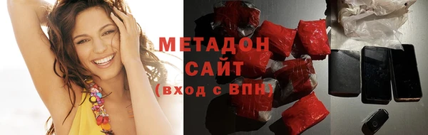прущие грибы Вязники