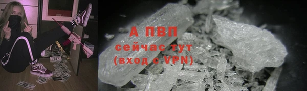 стафф Вязьма
