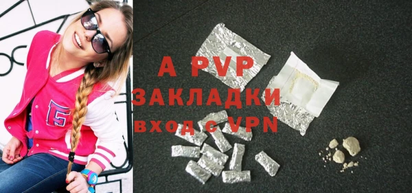 спиды Вяземский