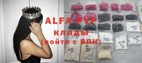 спиды Курчалой