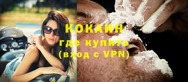 спиды Вяземский