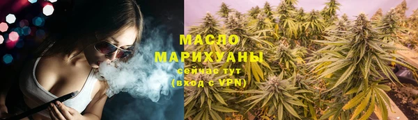 спиды Вяземский
