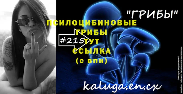 прущие грибы Вязники